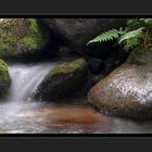 Am Rio Nedro, ötztal/Tirol