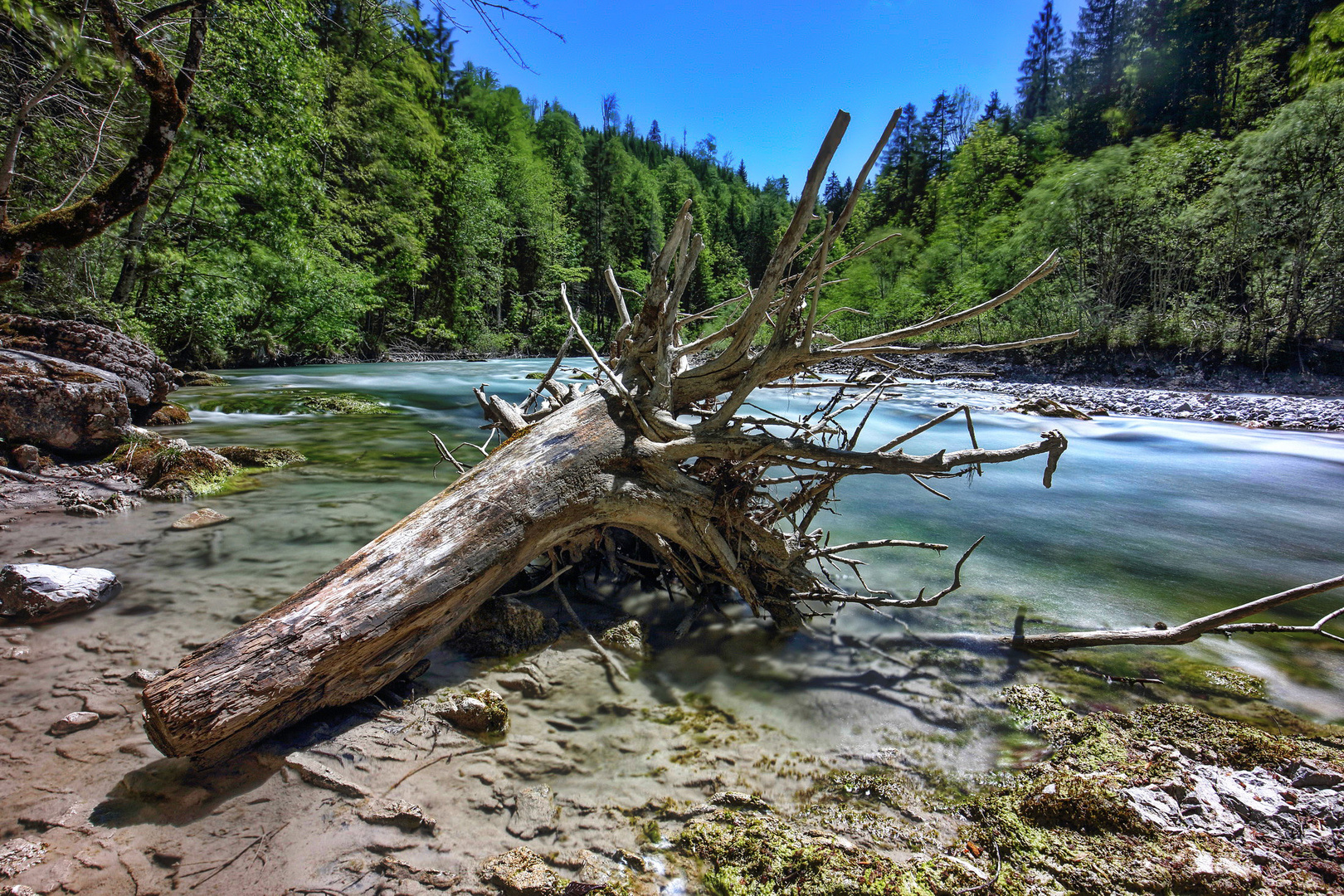 Am Rißbach bei Vorderriss