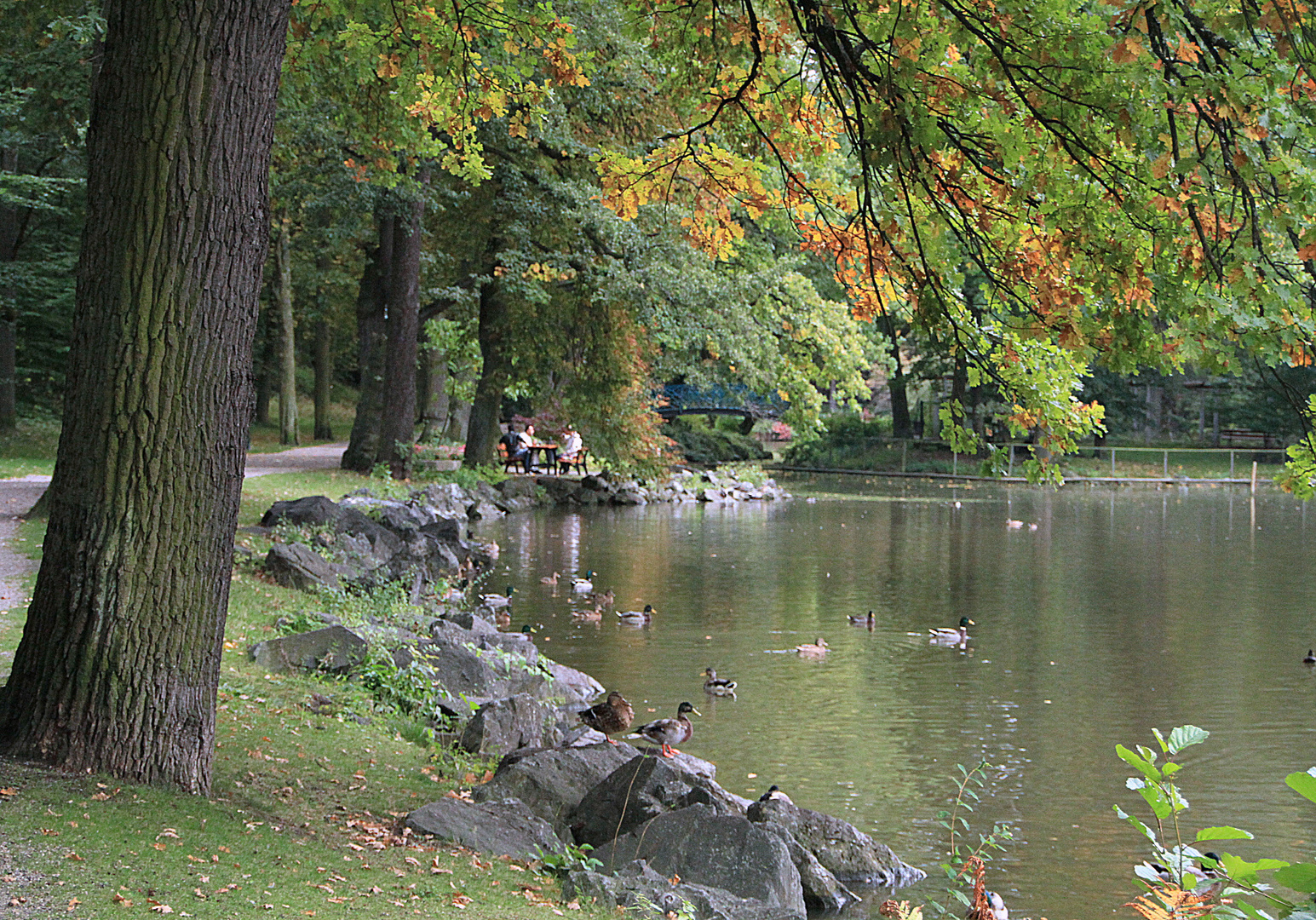 Am Röhrensee