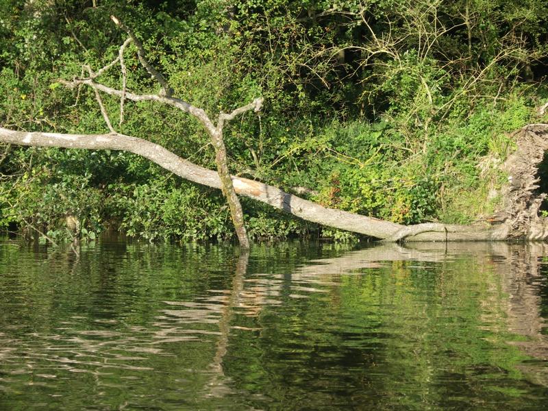 Am Roggenburger Weiher 2