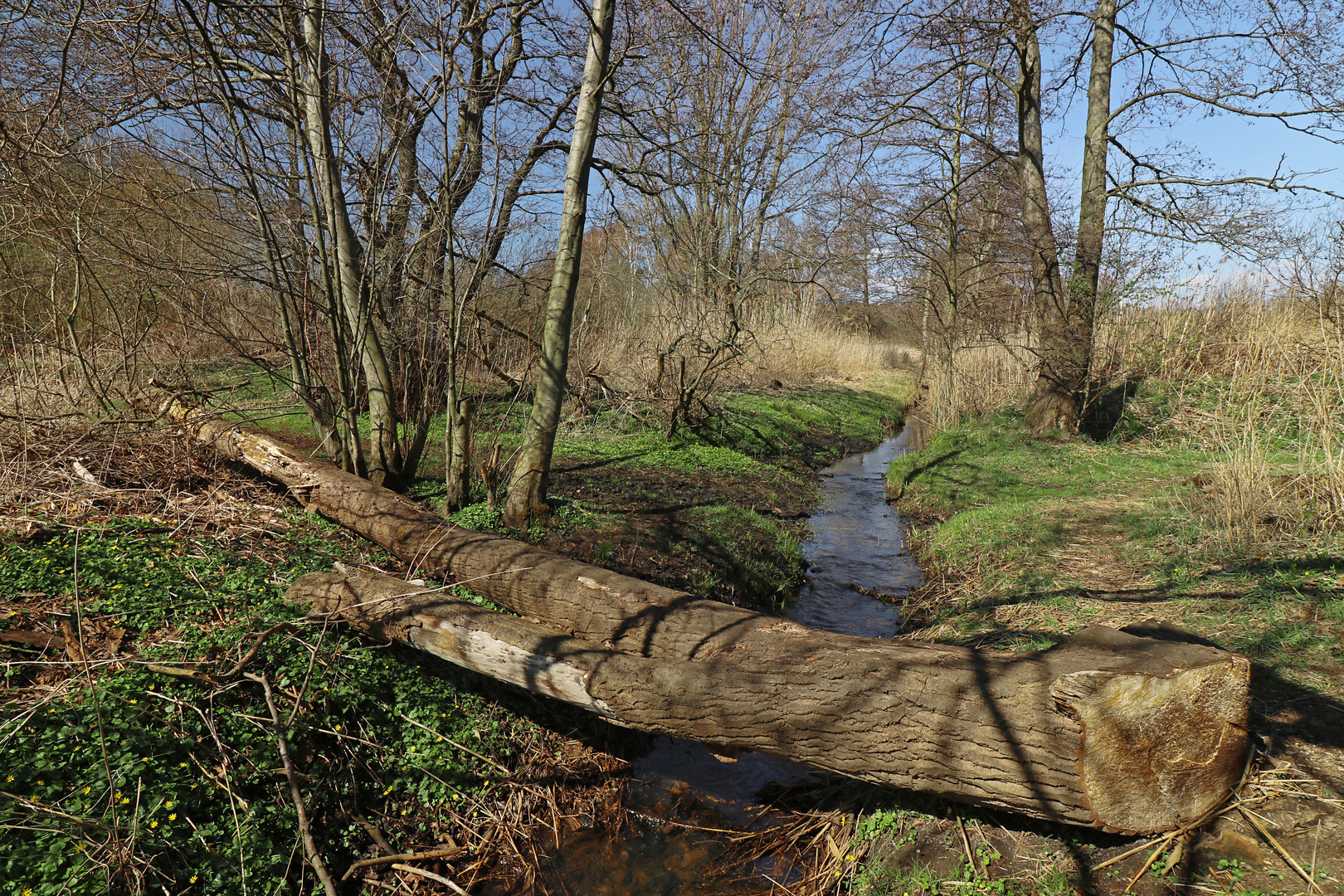 Am Rohrbruchgraben