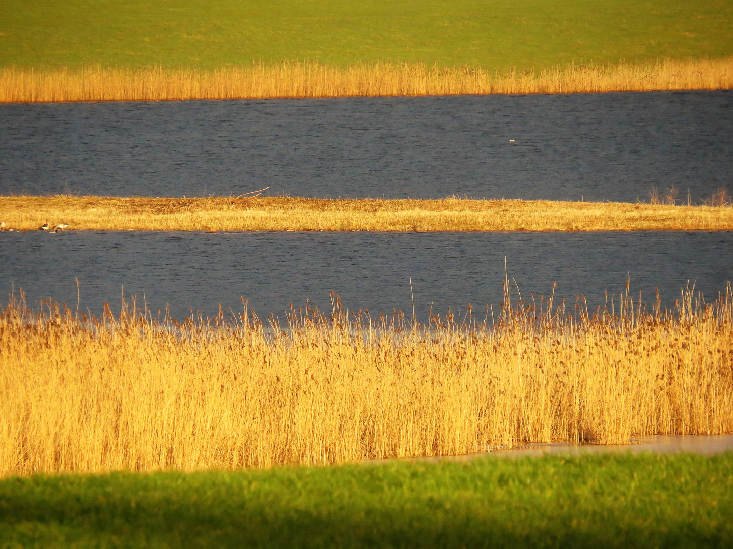 Am Rohrsee