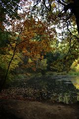 am romantischen See