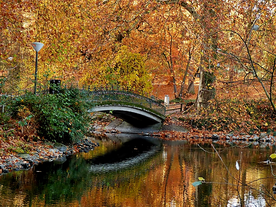 Am Rombergparkteich.