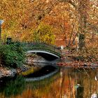 Am Rombergparkteich.