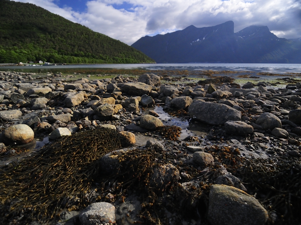 am Romsdalsfjord