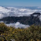 Am Roque de los Muchachos