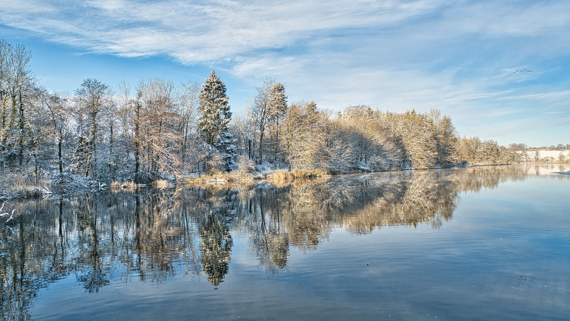 am Rosenfelder See