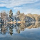 am Rosenfelder See