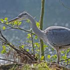 Am Rotbachsee......