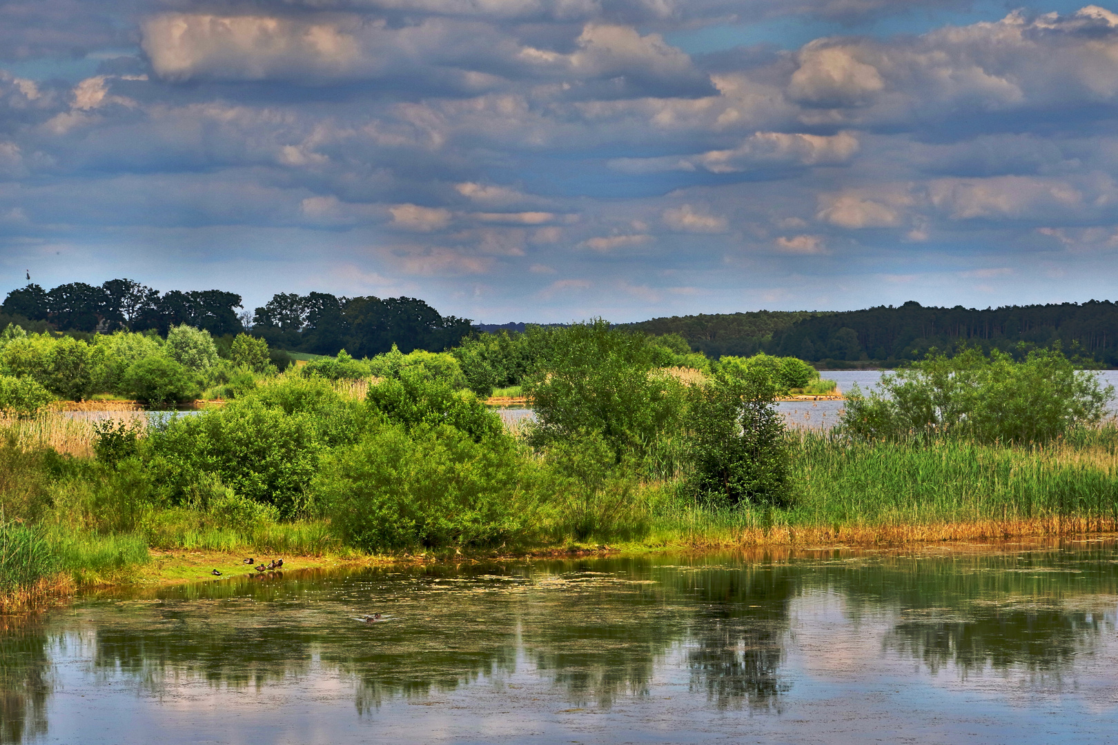 "am ROTHSEE", im fränkischen Seenland