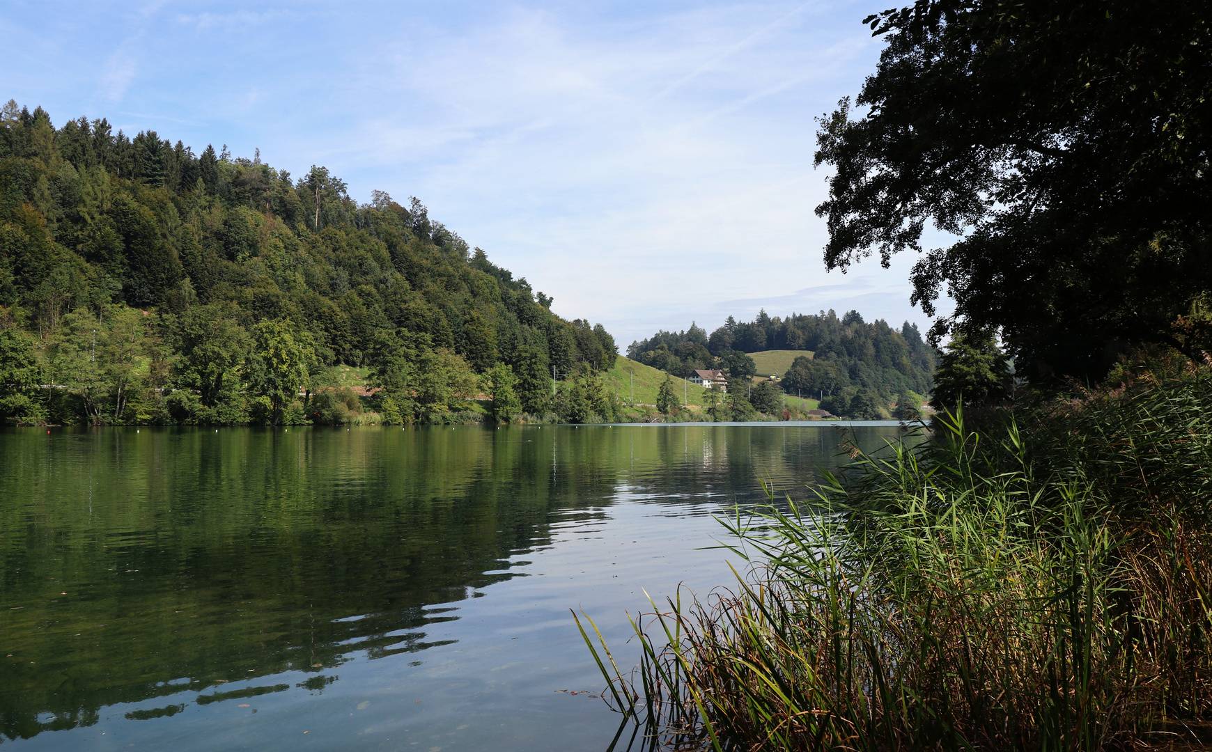 Am Rotsee nach NE