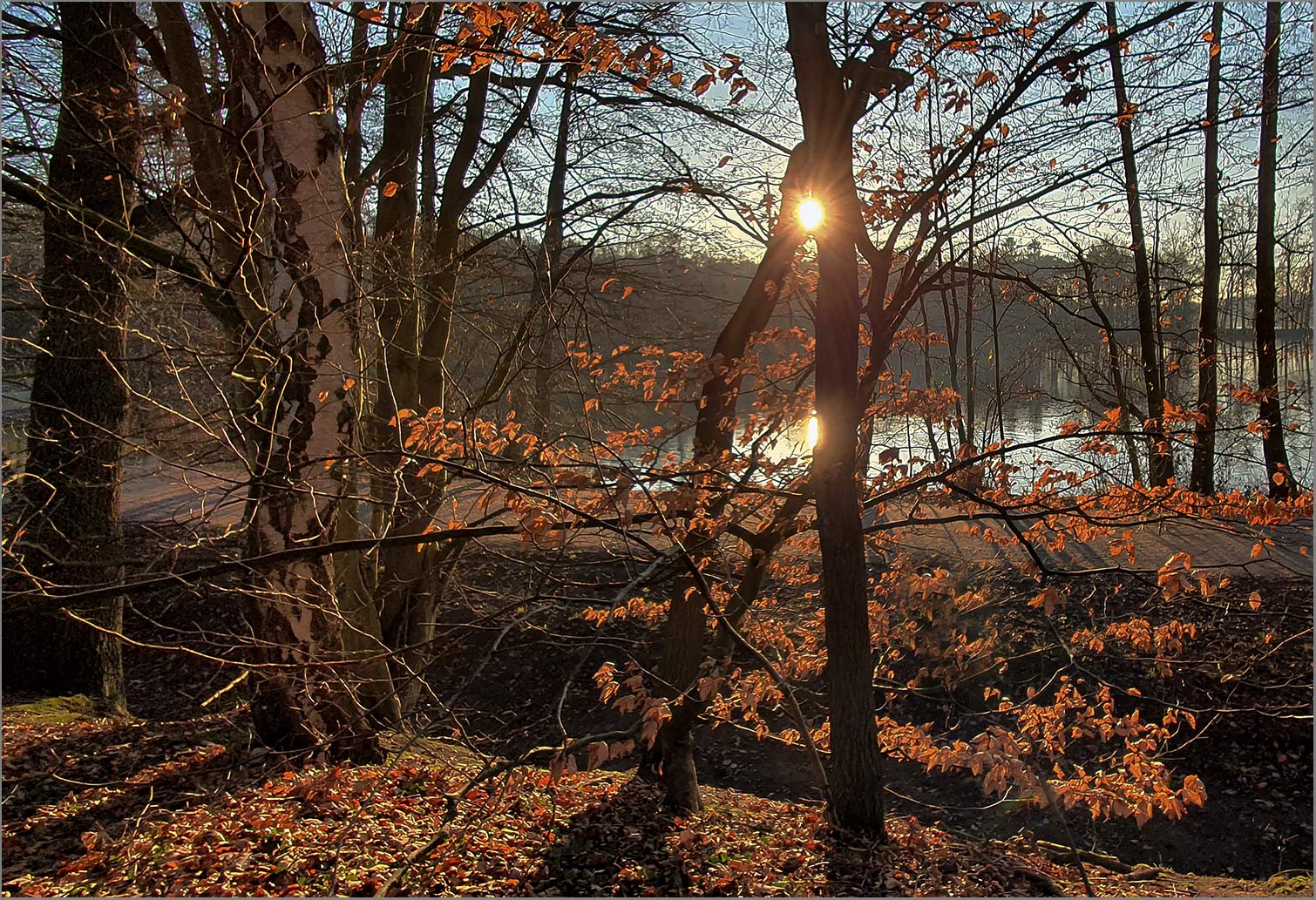 Am Rubbenbruchsee   . . .