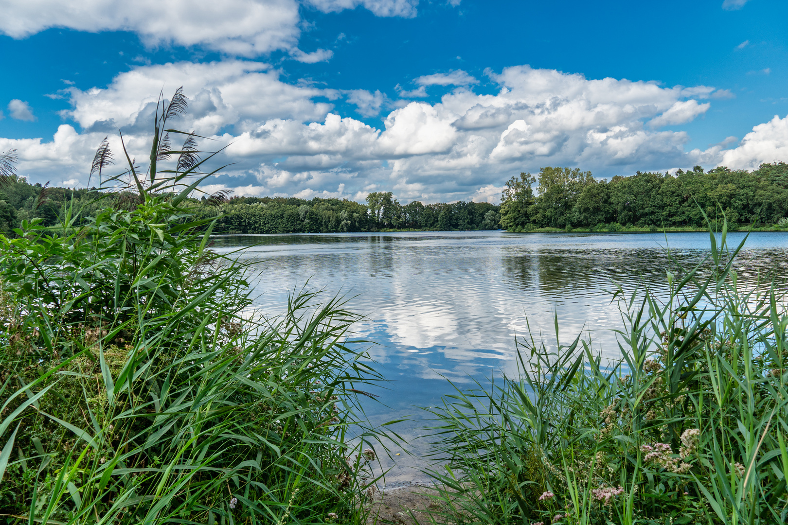 AM RUBBENBRUCHSEE IN OSNABRÜCK - SAMSTAG 29.08.2020