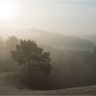 Am Ruckenkreuz