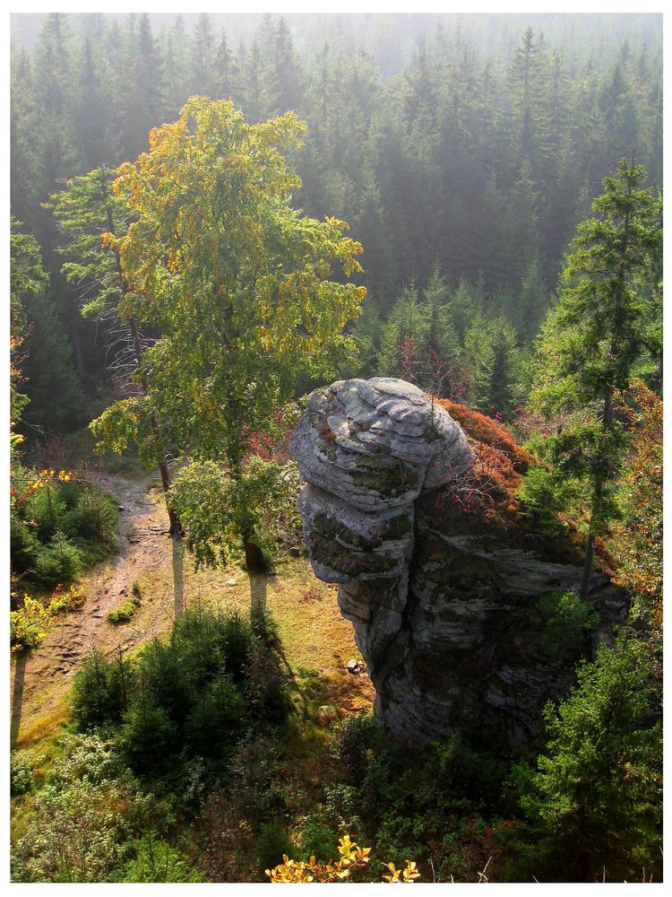 Am Rudolfstein im Fichtelgebirge