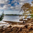 Am Rügischen Bodden...