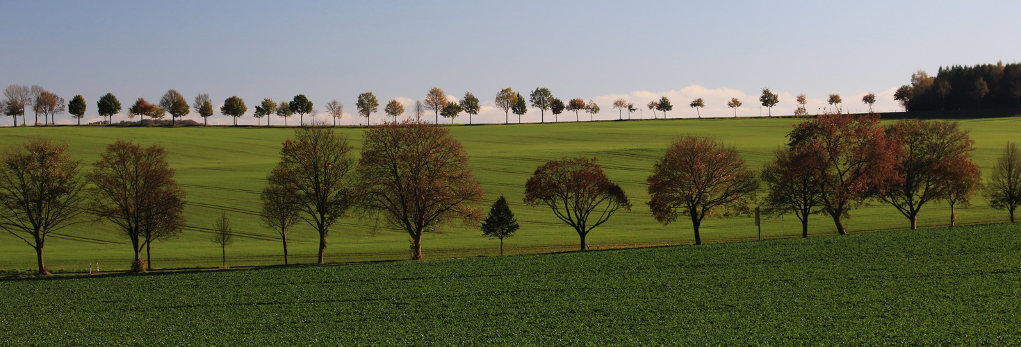 am Rußbuttensteig