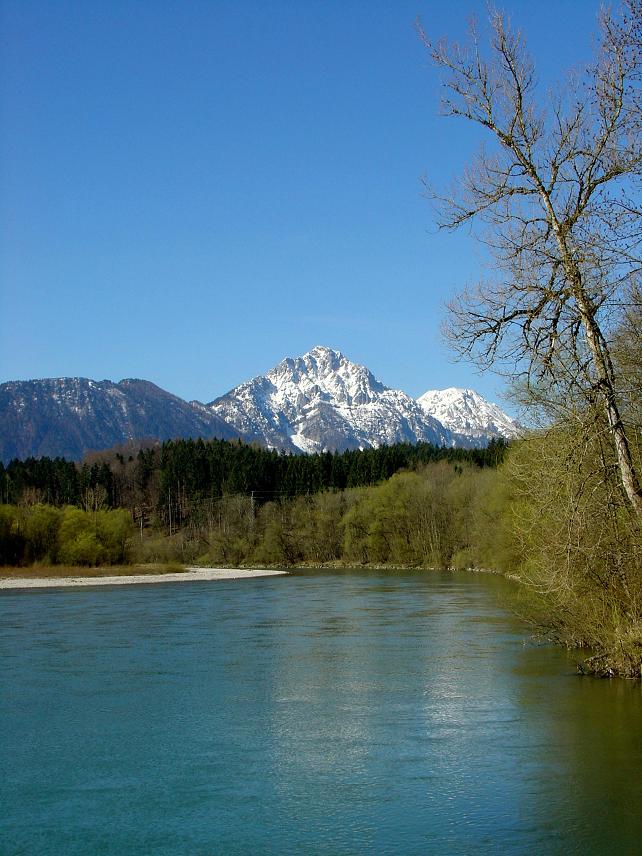 am Saalachwehr bei Hammerau 4