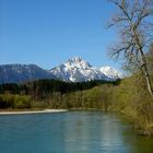 am Saalachwehr bei Hammerau 4