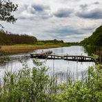 Am Saaler Bodden