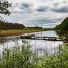 Am Saaler Bodden