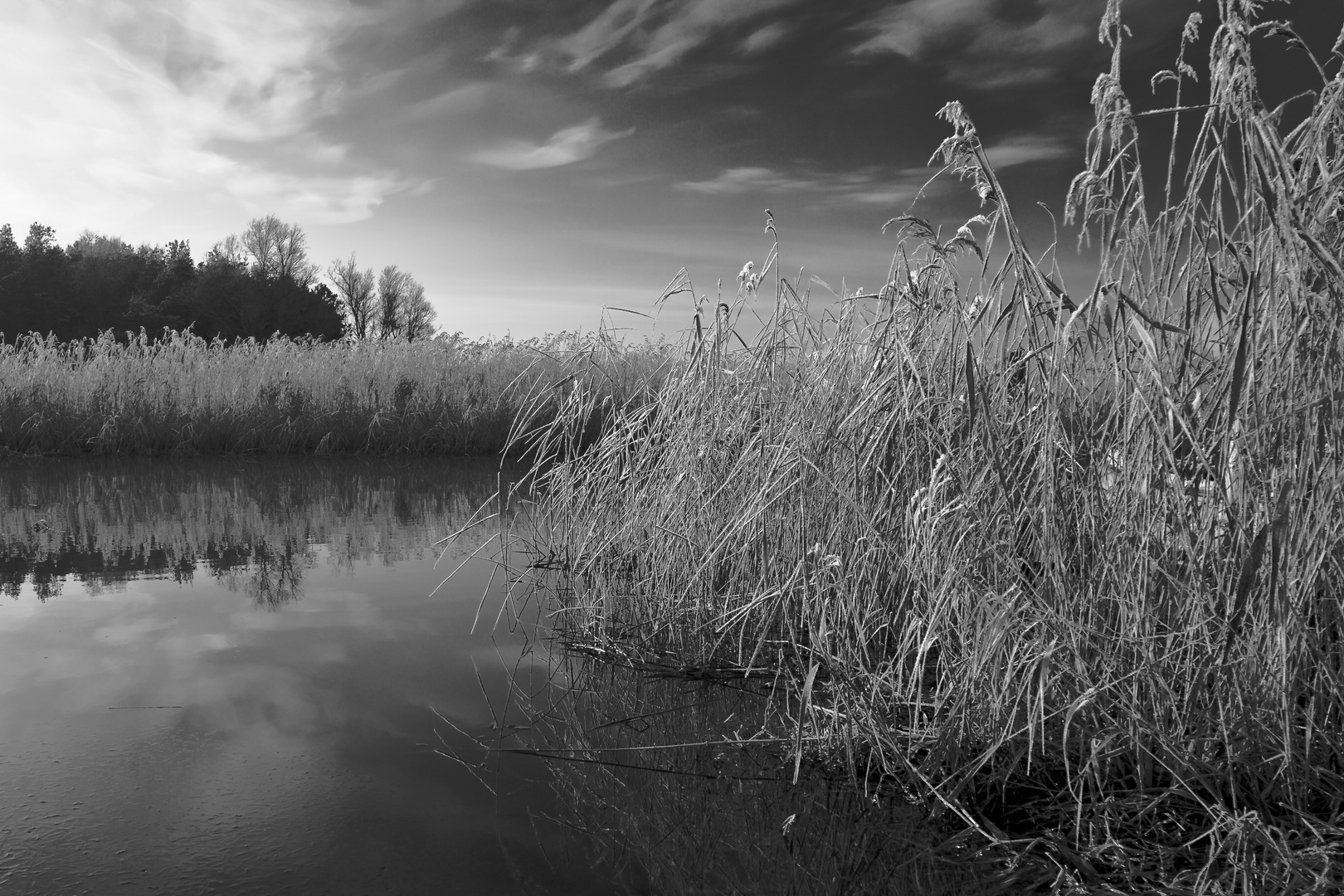 Am Saaler Bodden