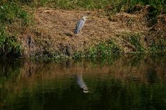 am Saaleufer bei Freyburg