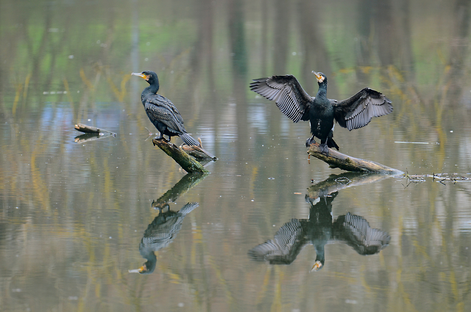 Am Saaraltarm in Saarlouis Spiegelung