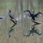 Am Saaraltarm in Saarlouis Spiegelung