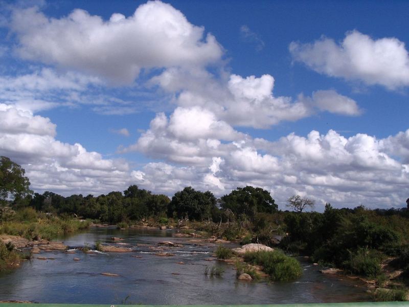 Am Sabie im Krüger Park