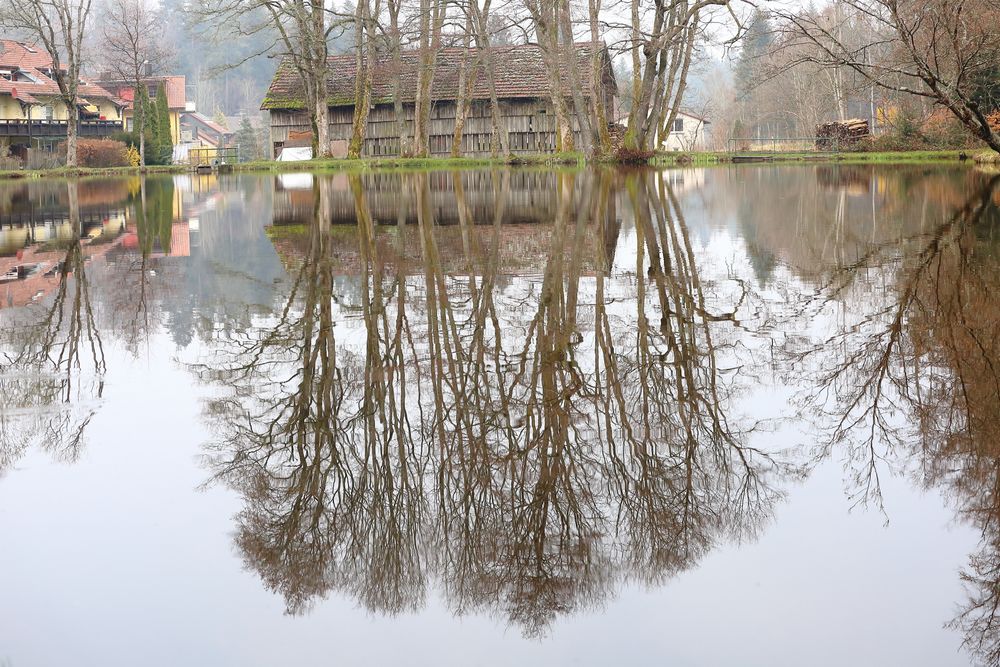 Am Sägeweiher