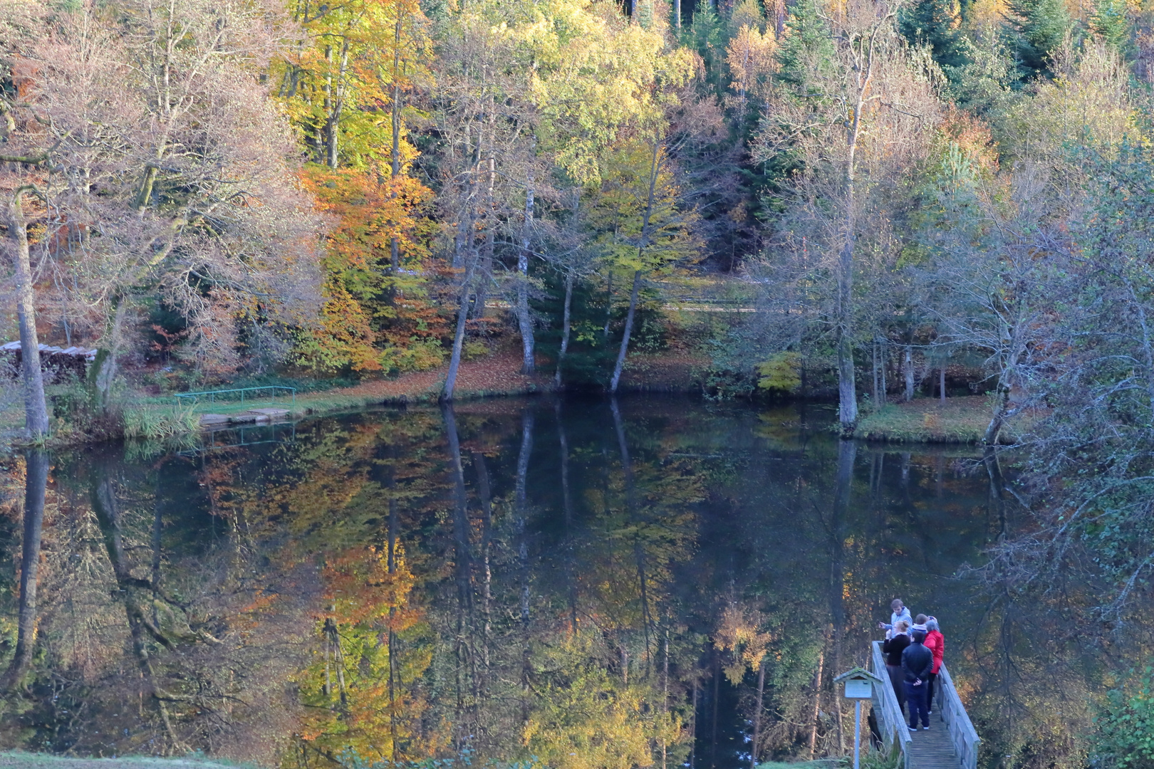 Am Sägeweiher