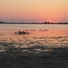 Am Salzsee von Tigaki