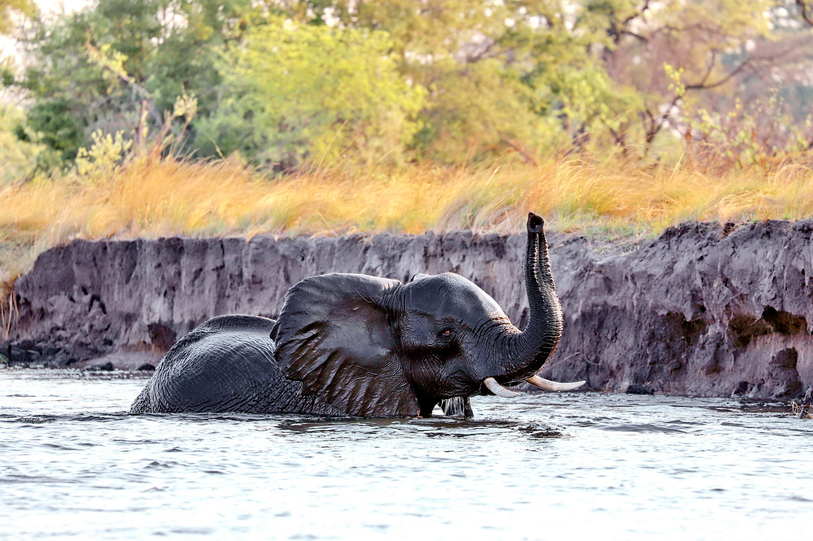 Am Sambesi in Namibia