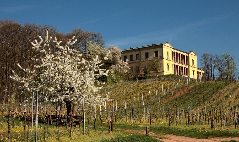 Am Samstag 11 UHR sah es noch so aus. Frühlingsbeginn an der Villa Ludwigshöhe,...