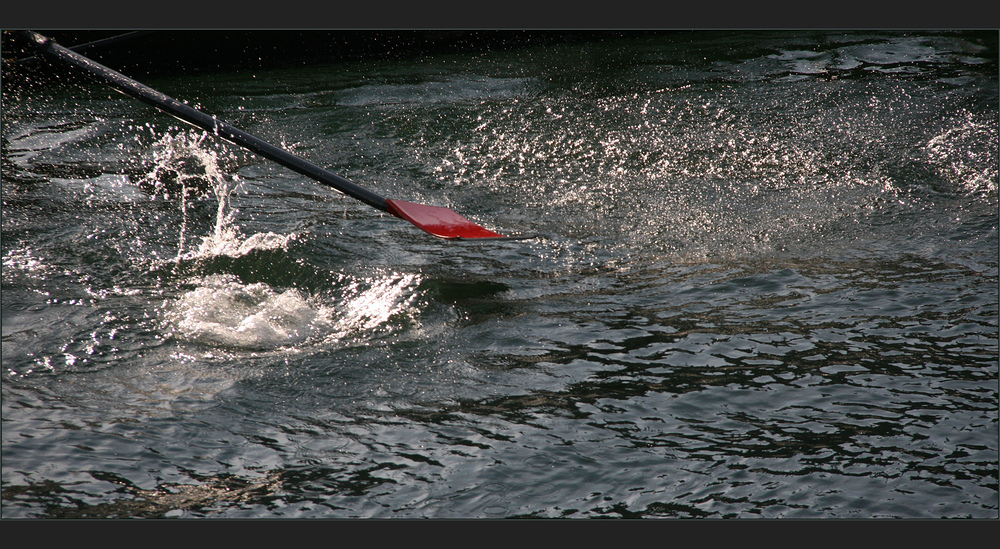 am samstag wieder: achterregatta auf dem rhein