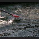 am samstag wieder: achterregatta auf dem rhein