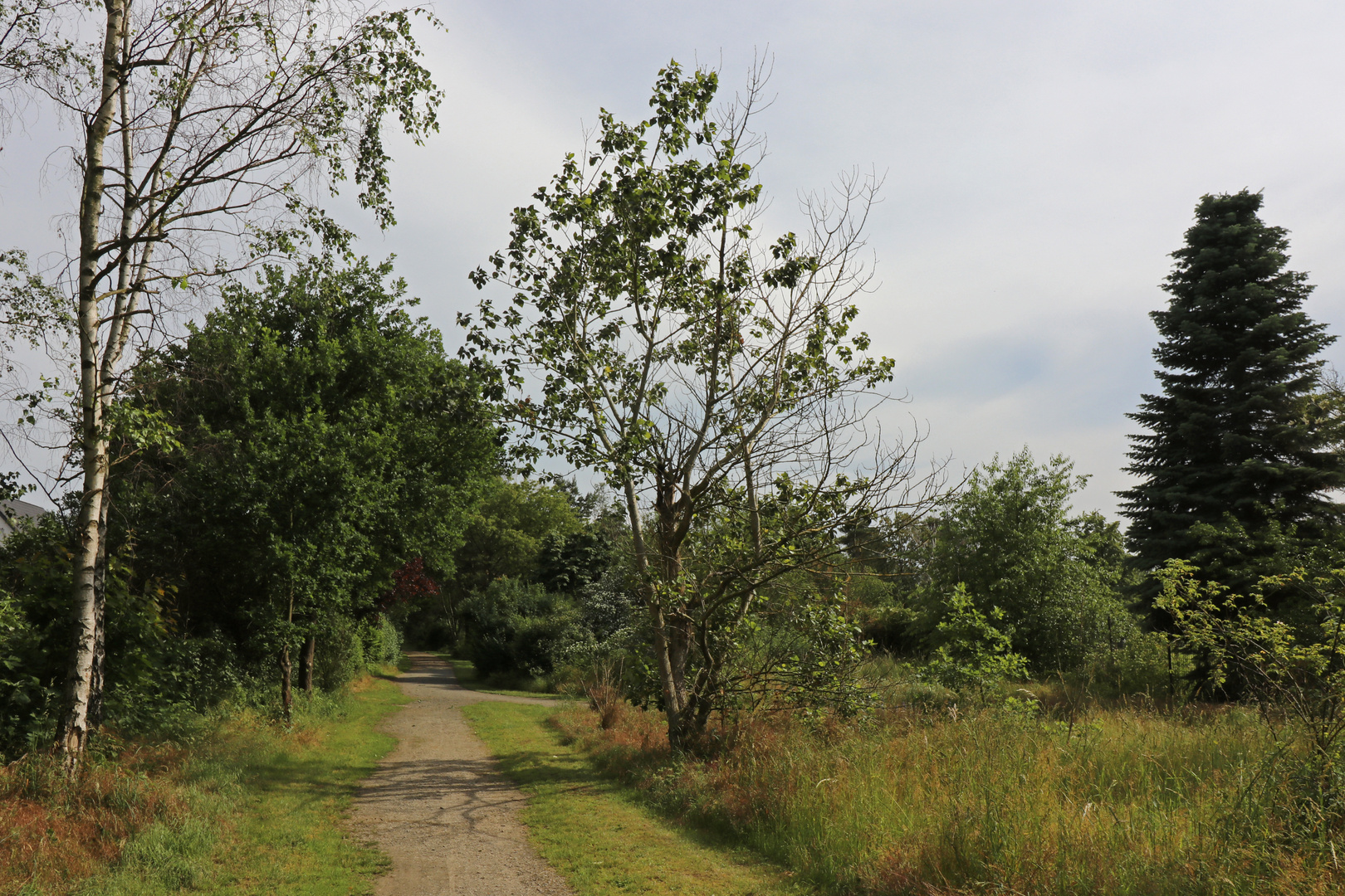 Am Sanddünenweg