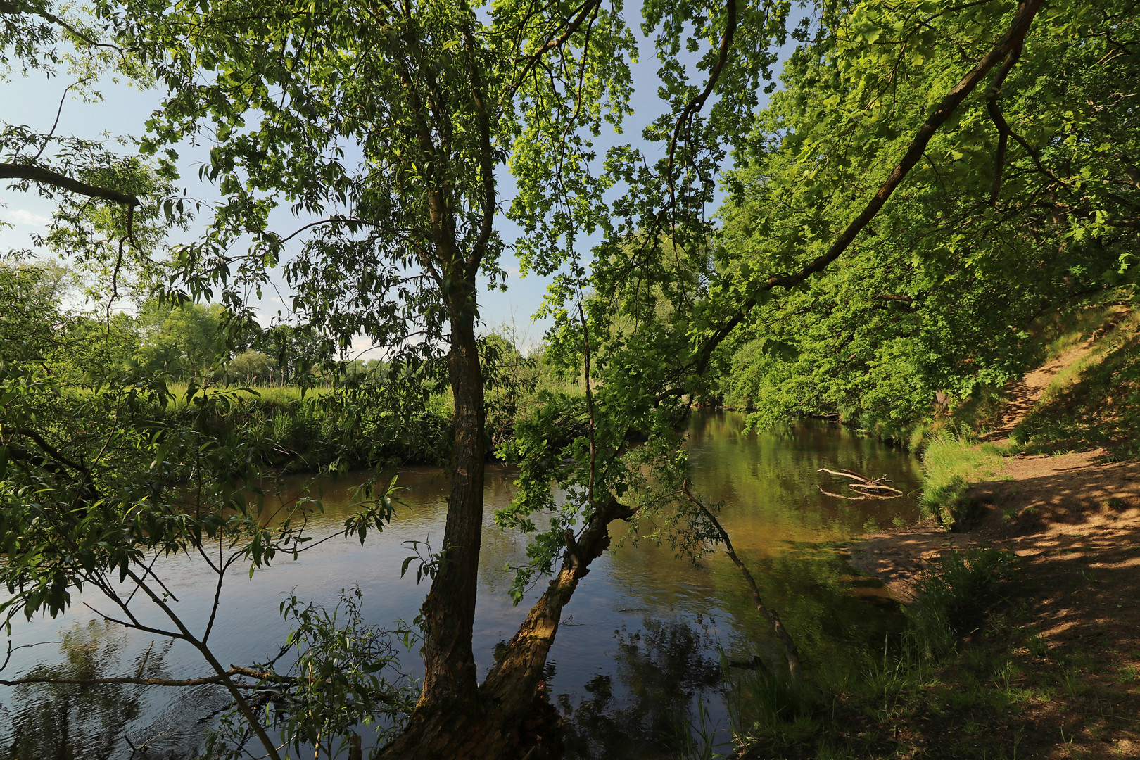 Am sandigen Ufer