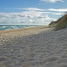 Am Sandstrand auf Rügen