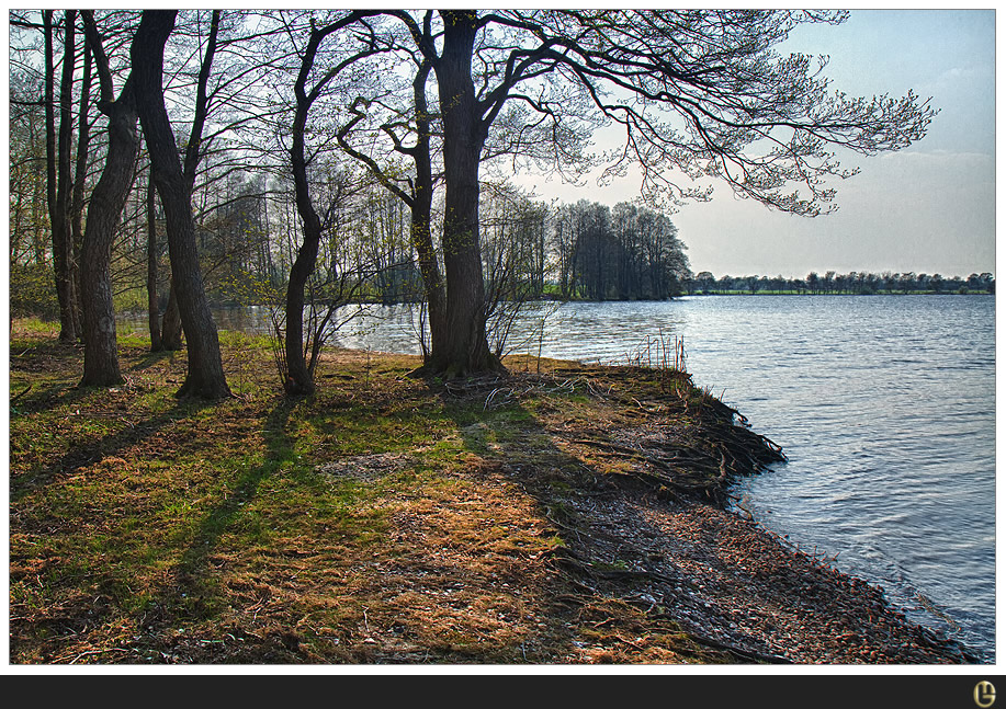 Am Sankelmarker See - I