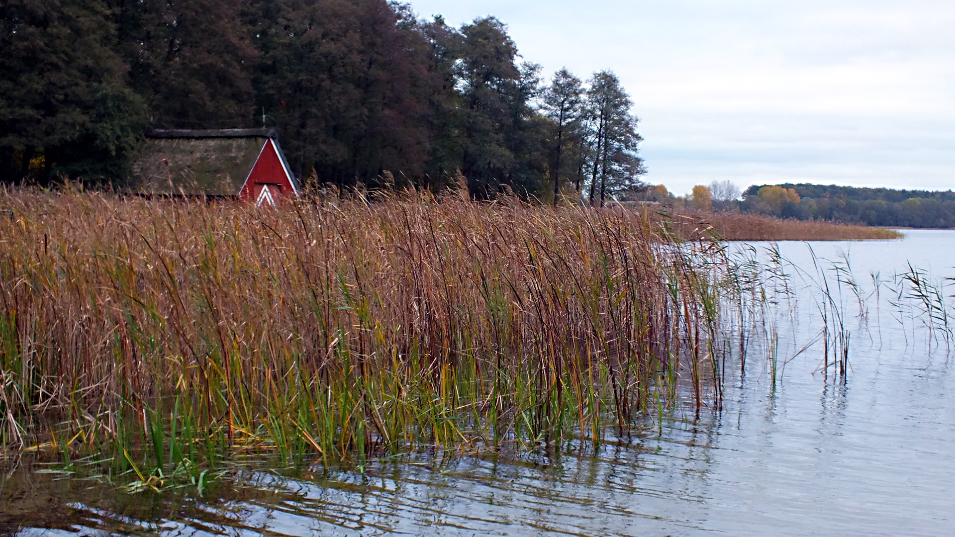 Am Schaalsee