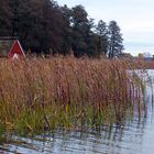 Am Schaalsee