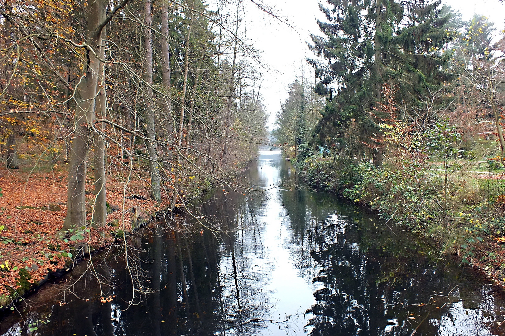 Am Schaalseekanal