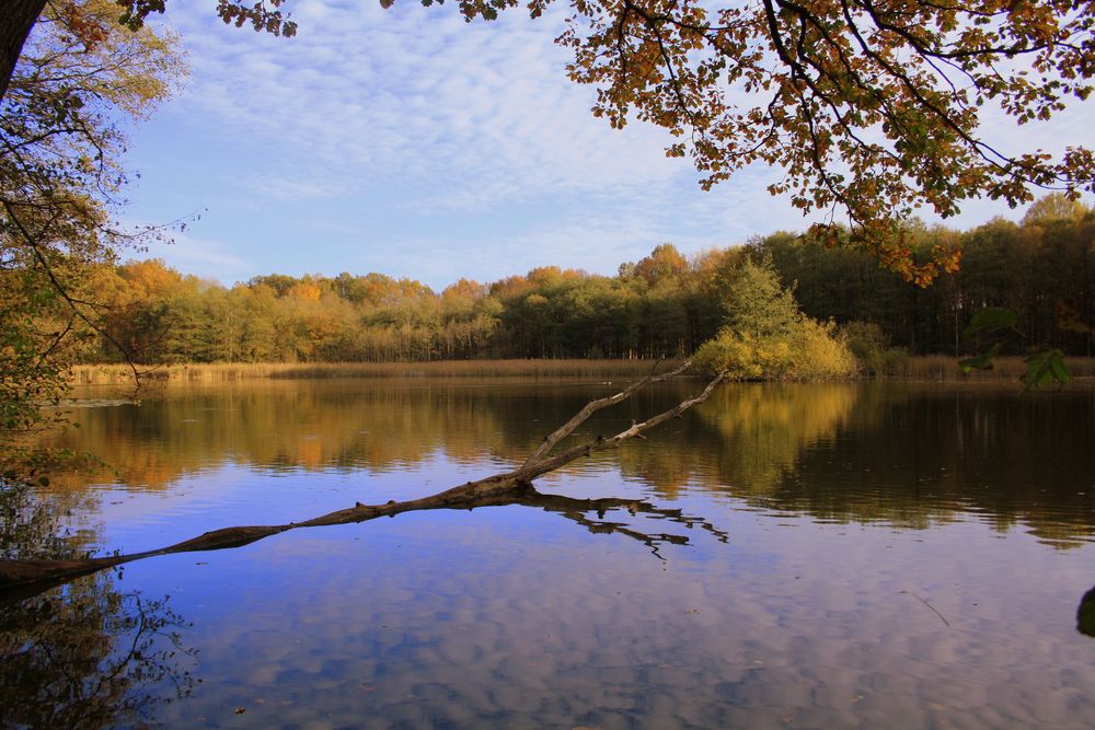 Am Schafteich