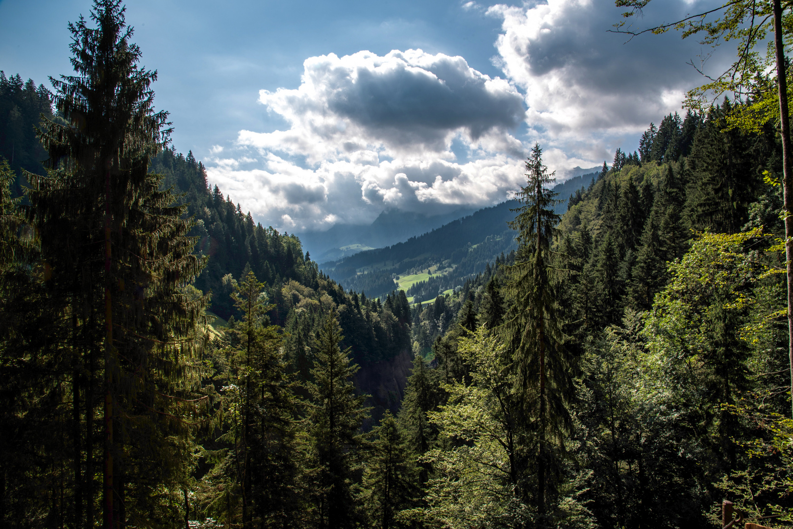 Am Schallenberg im Emmental