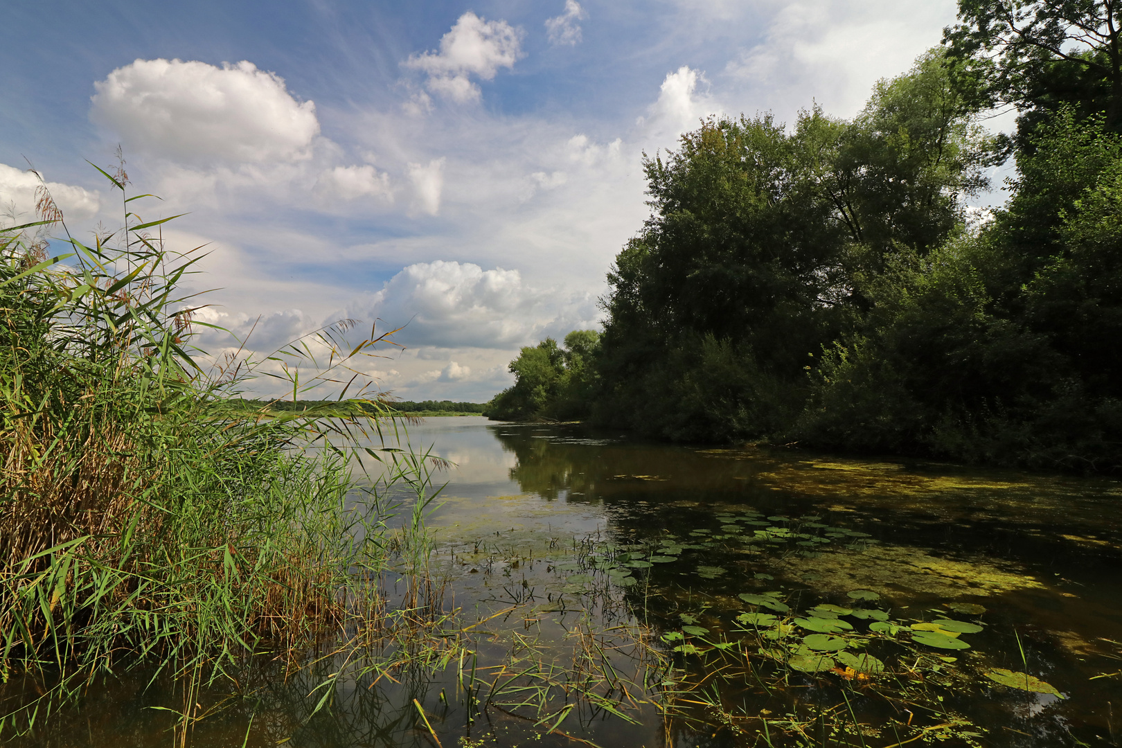 Am Schapenbruchteich