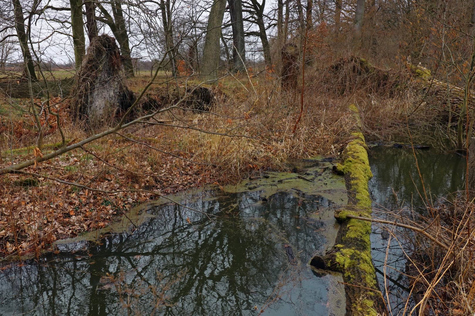 Am Schapener Graben