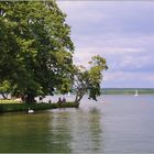 ... am Scharmützelsee ...